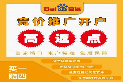 电商平台信息流广告的创意与执行案例分析